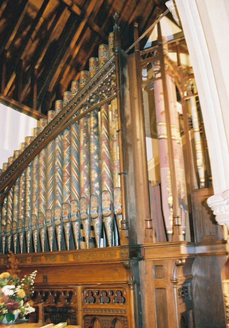 Back to Organ Case
